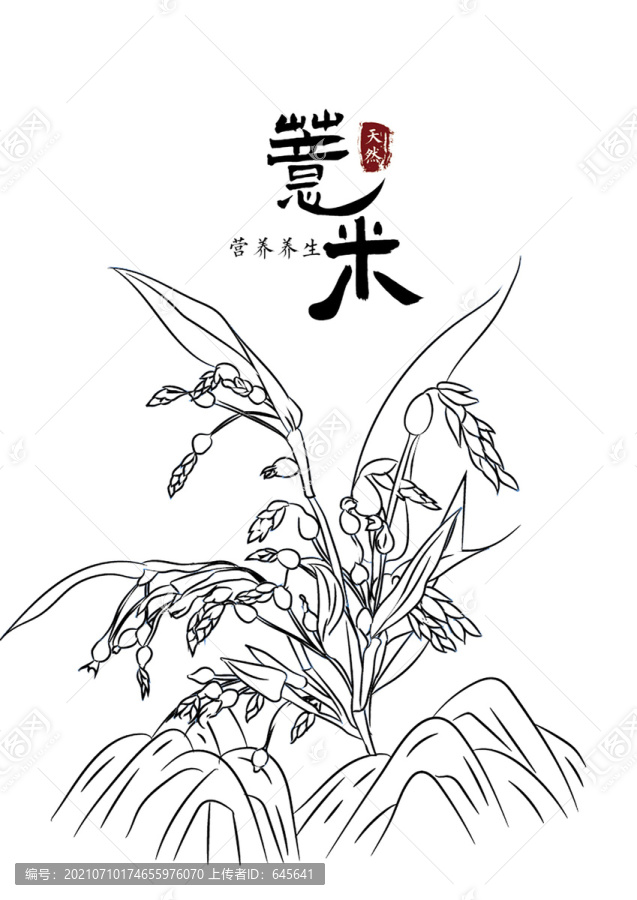 手繪薏米