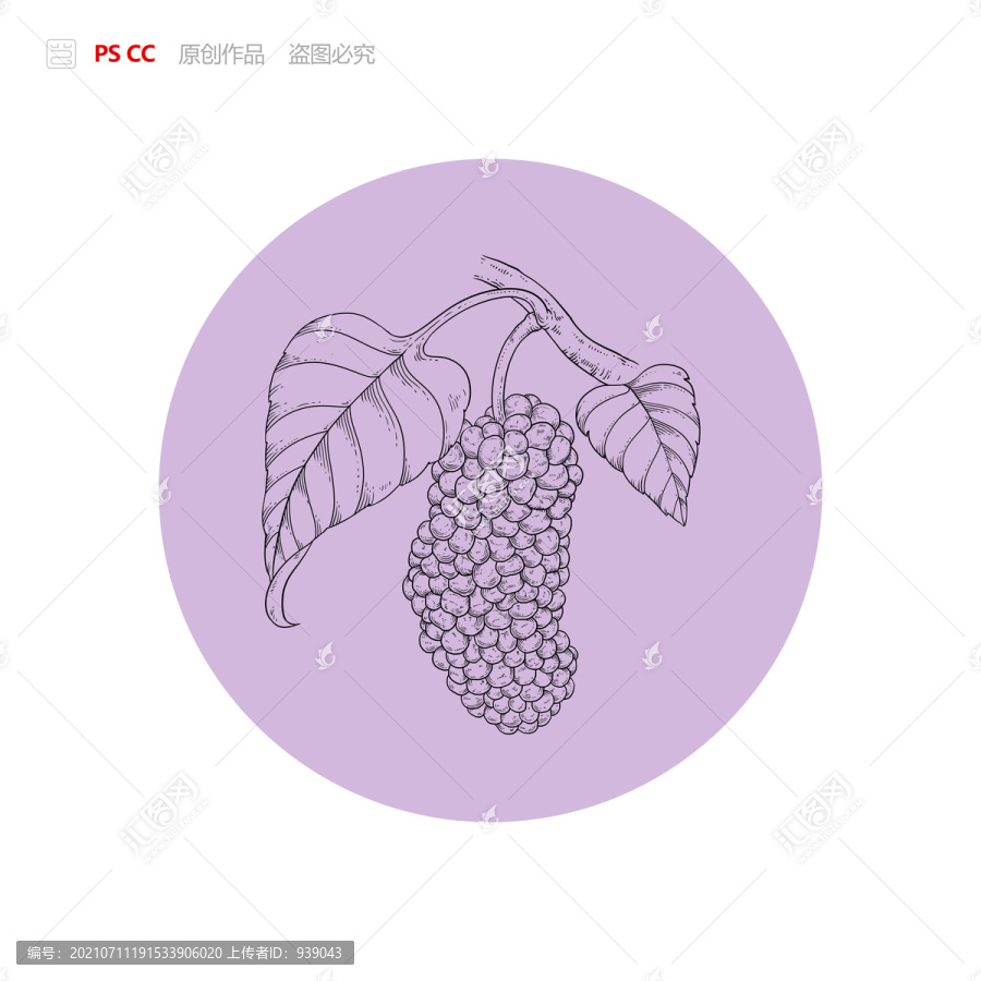 桑葚線稿