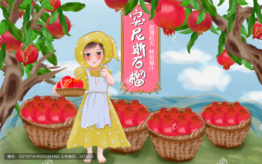 石榴包裝插畫