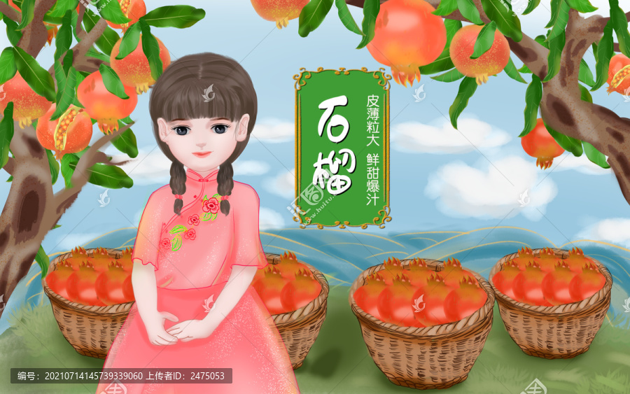 石榴包裝插畫