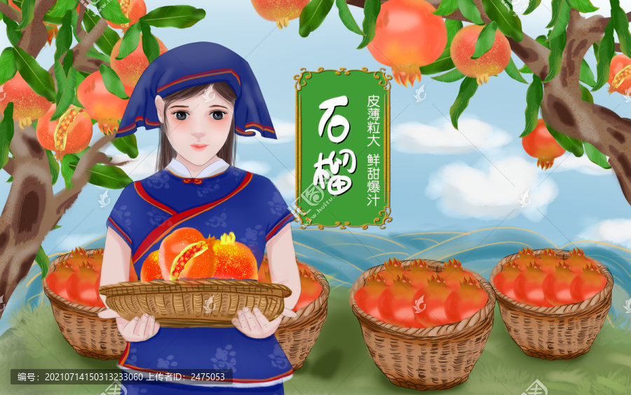石榴包裝插畫
