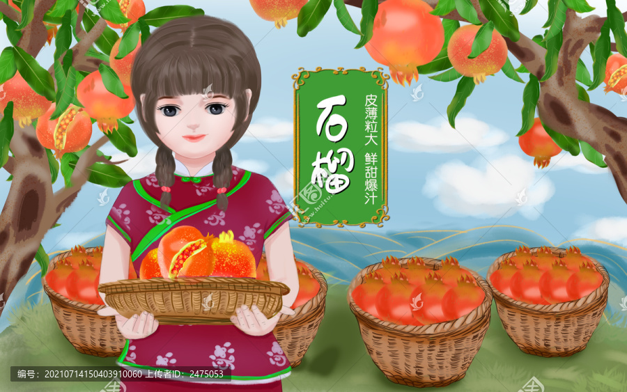石榴包裝插畫(huà)