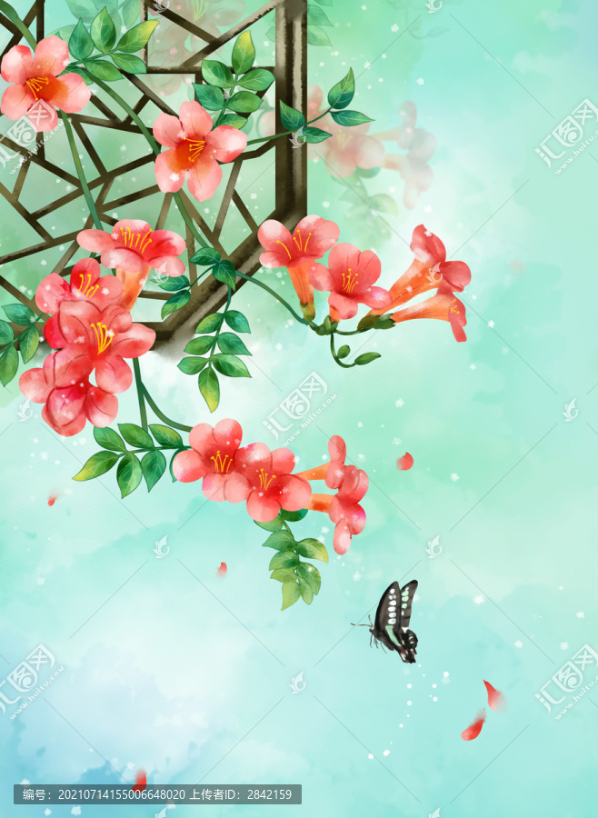 古風(fēng)凌霄花插畫