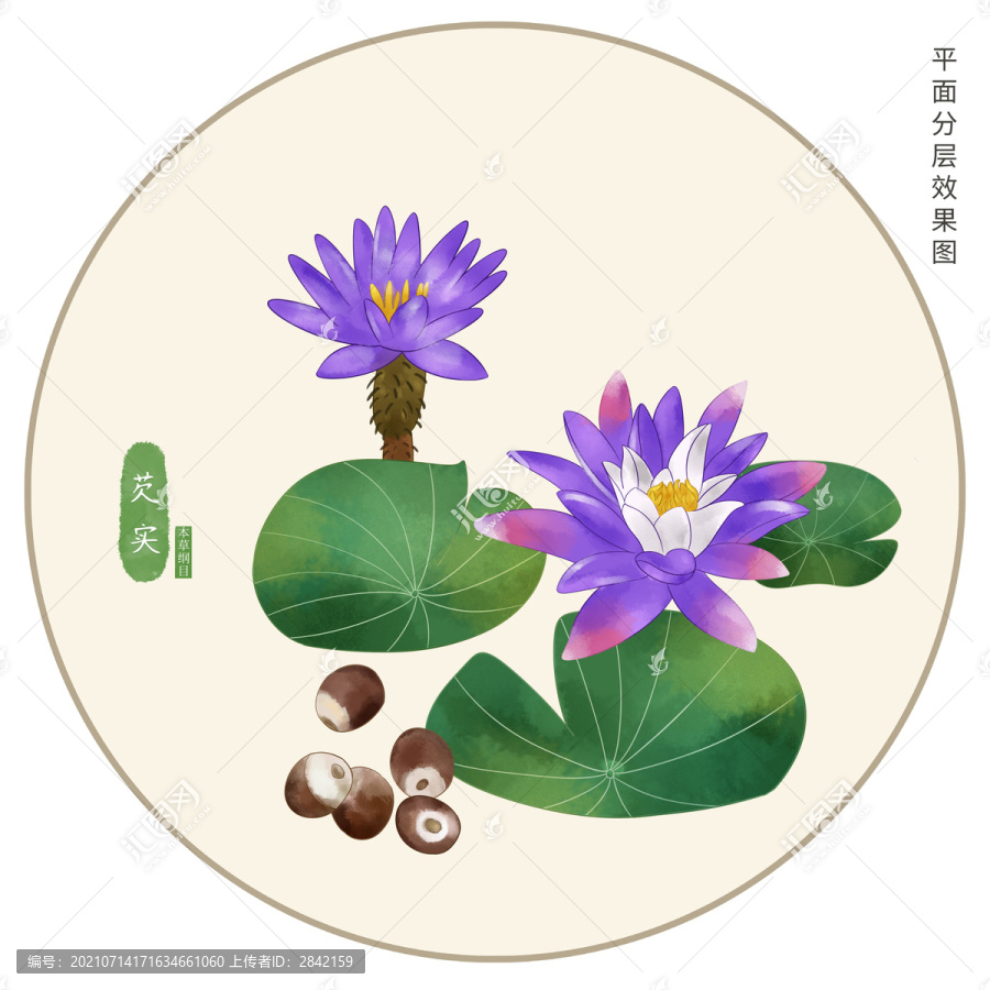 手繪芡實