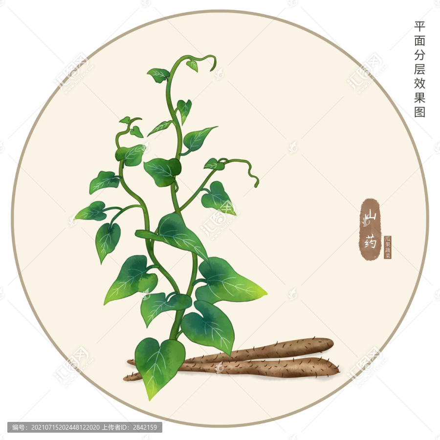 手繪山藥