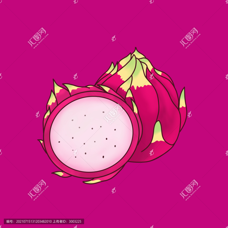 火龍果插畫(huà)