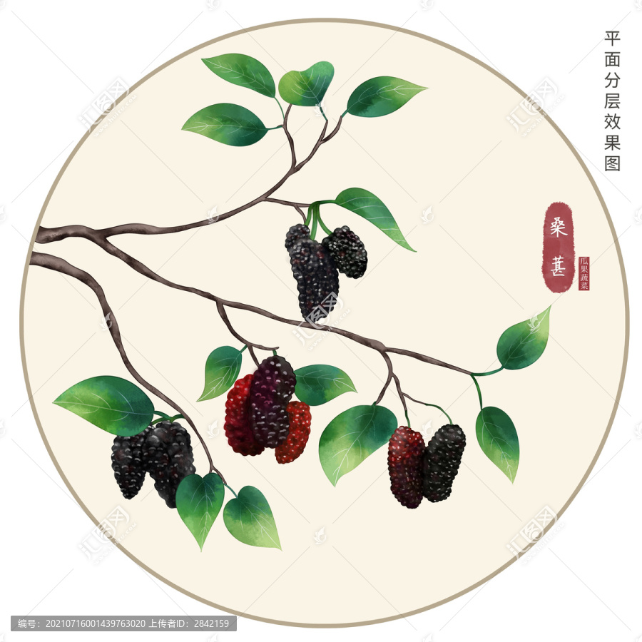 手繪桑葚