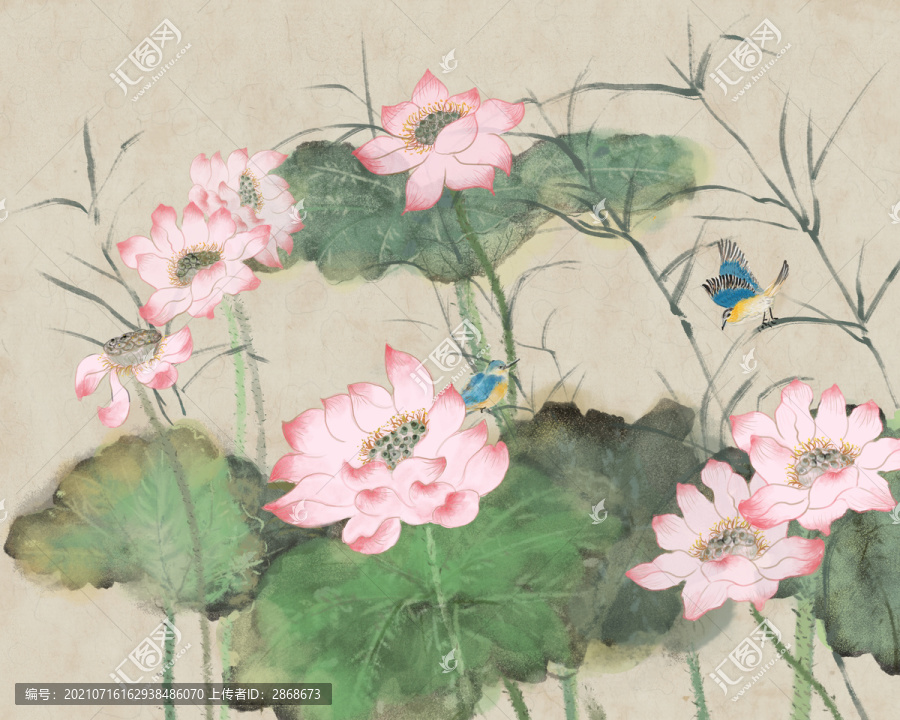 荷花