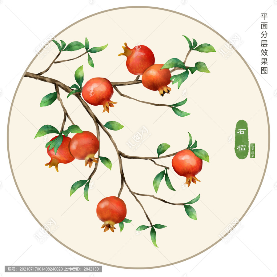 手繪石榴插畫