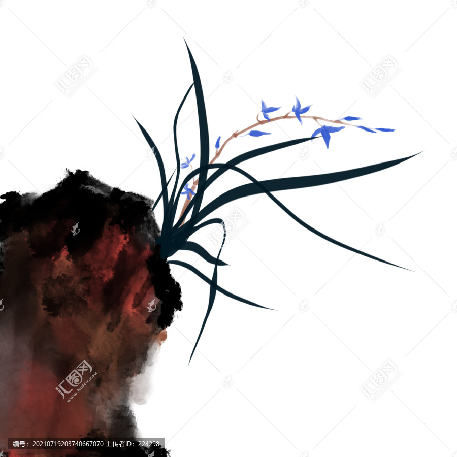 蘭花插畫
