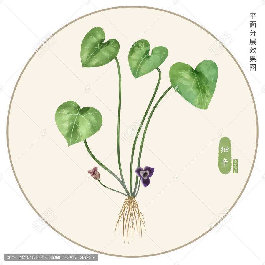 手繪細(xì)辛