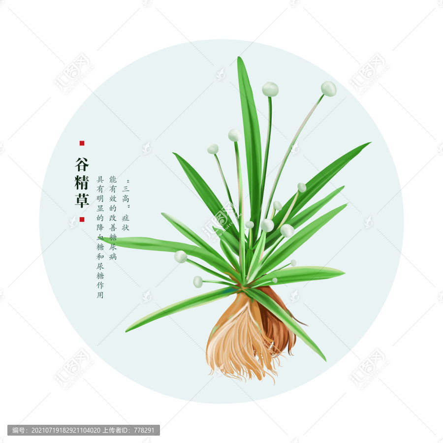 谷精草