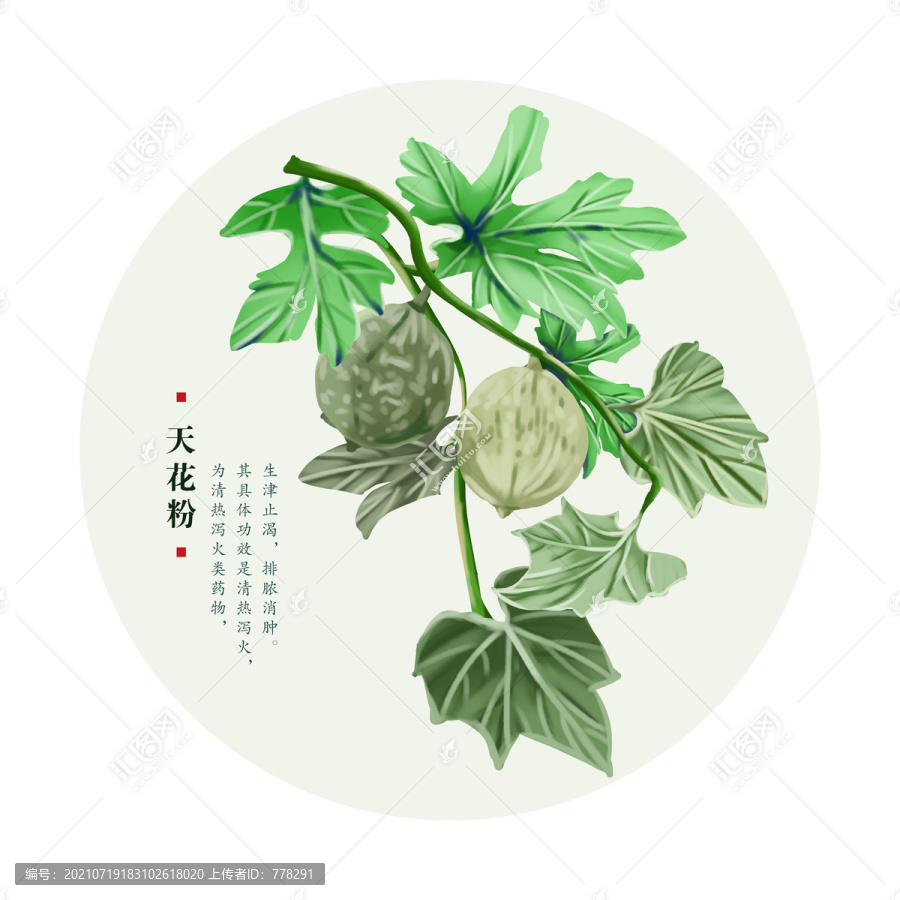 天花粉