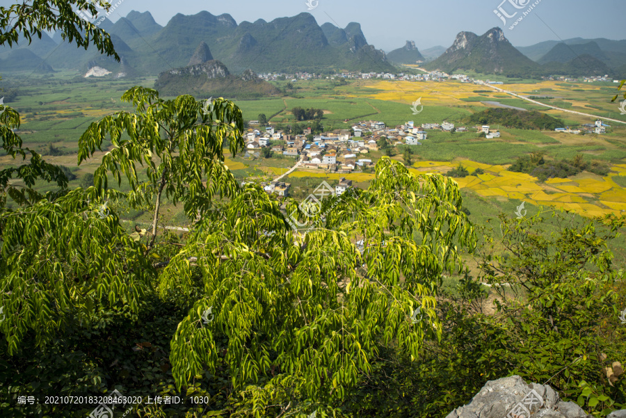 户外山顶绿树风景