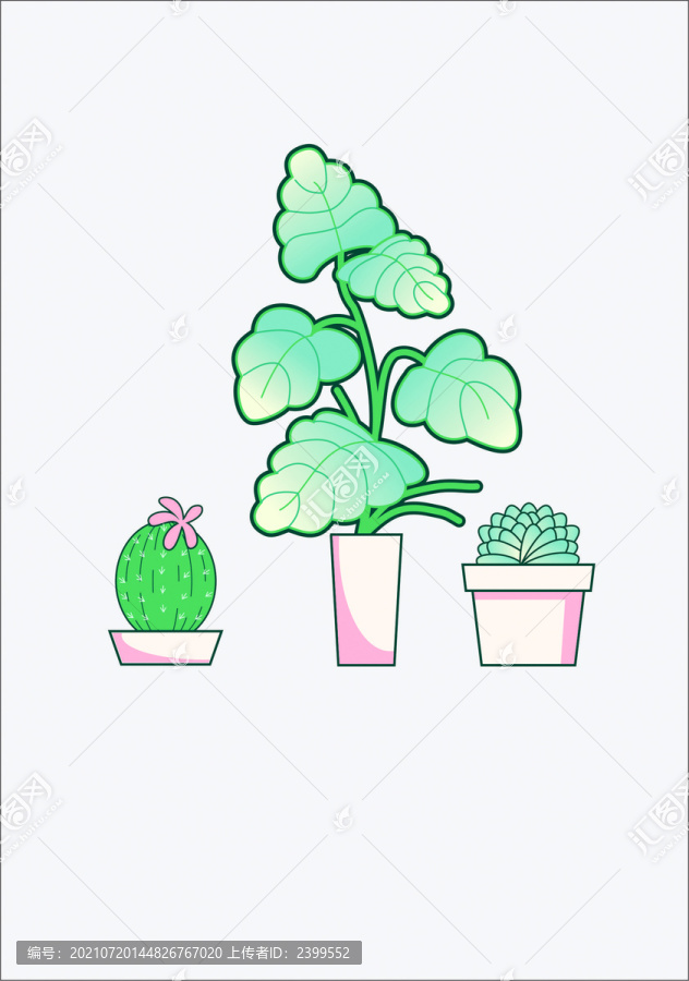 植物插画