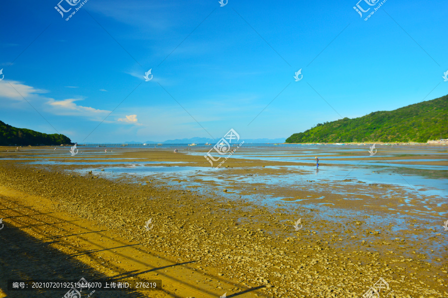 退潮赶海