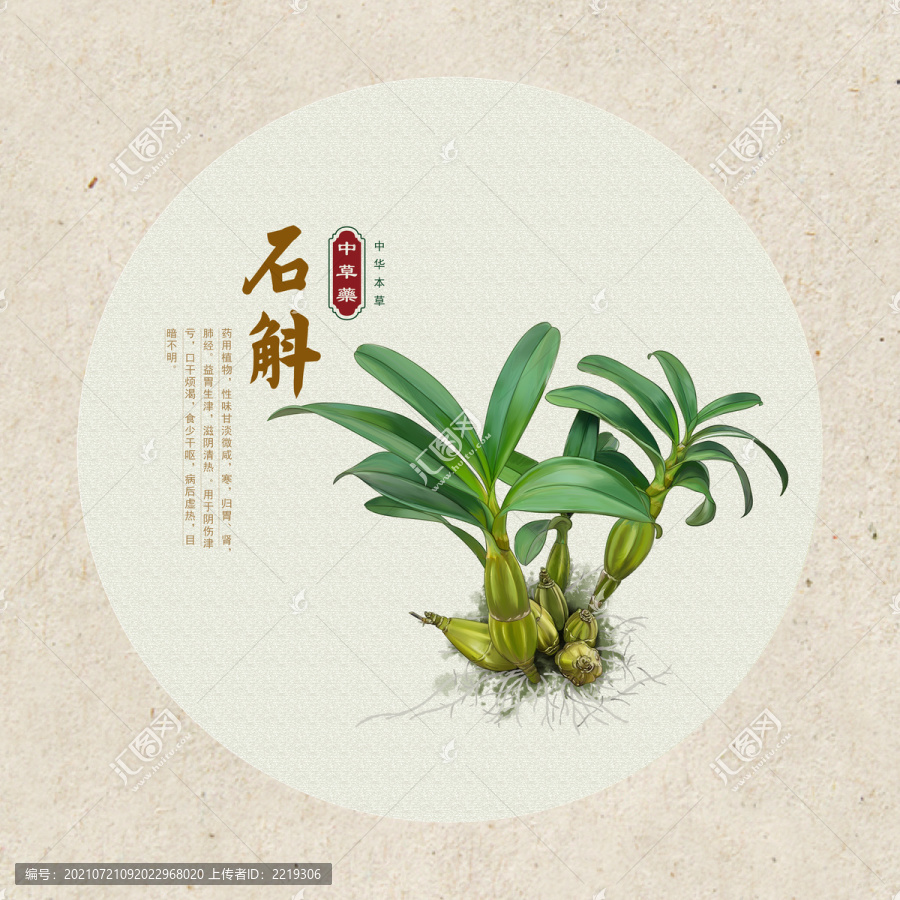 中華草本圖譜之石斛