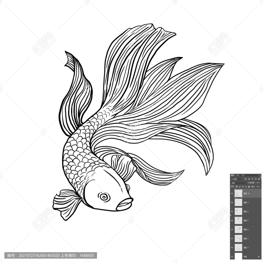 魚