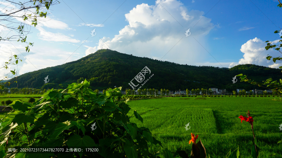 中峰贡米基地蓝天