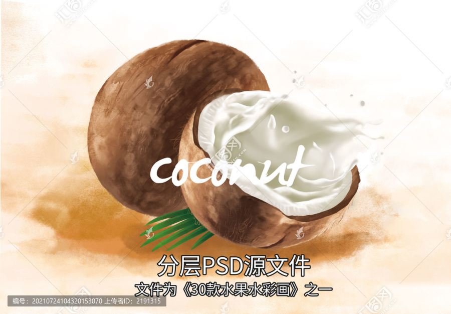 椰子水彩畫(huà)