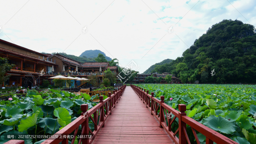 普者黑风景区