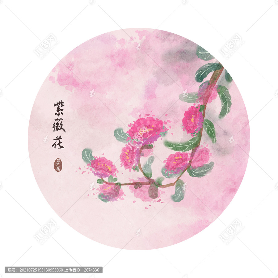 紫薇花
