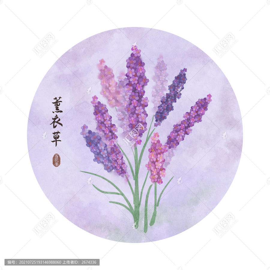 薰衣草