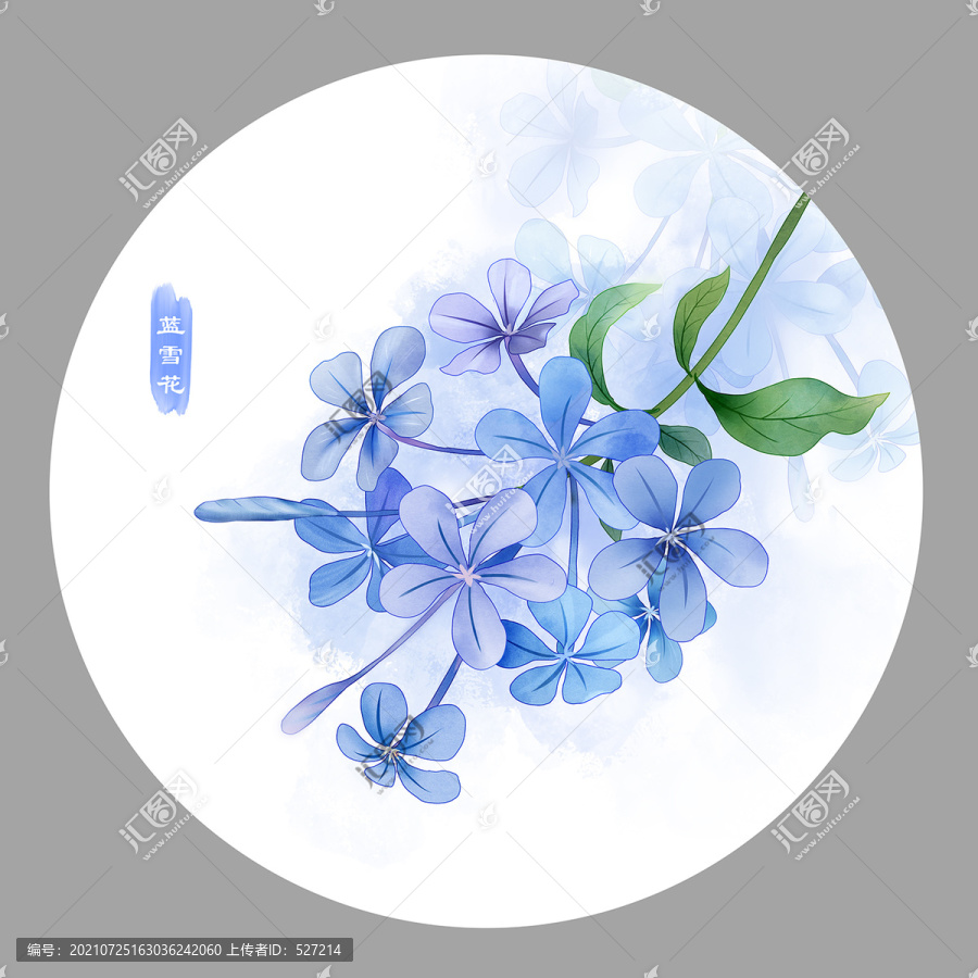 藍(lán)雪花