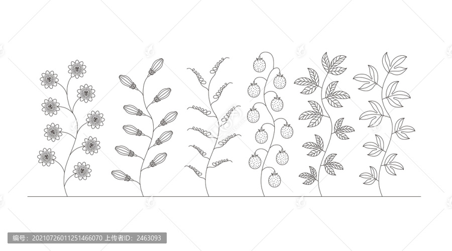 百香果花紋
