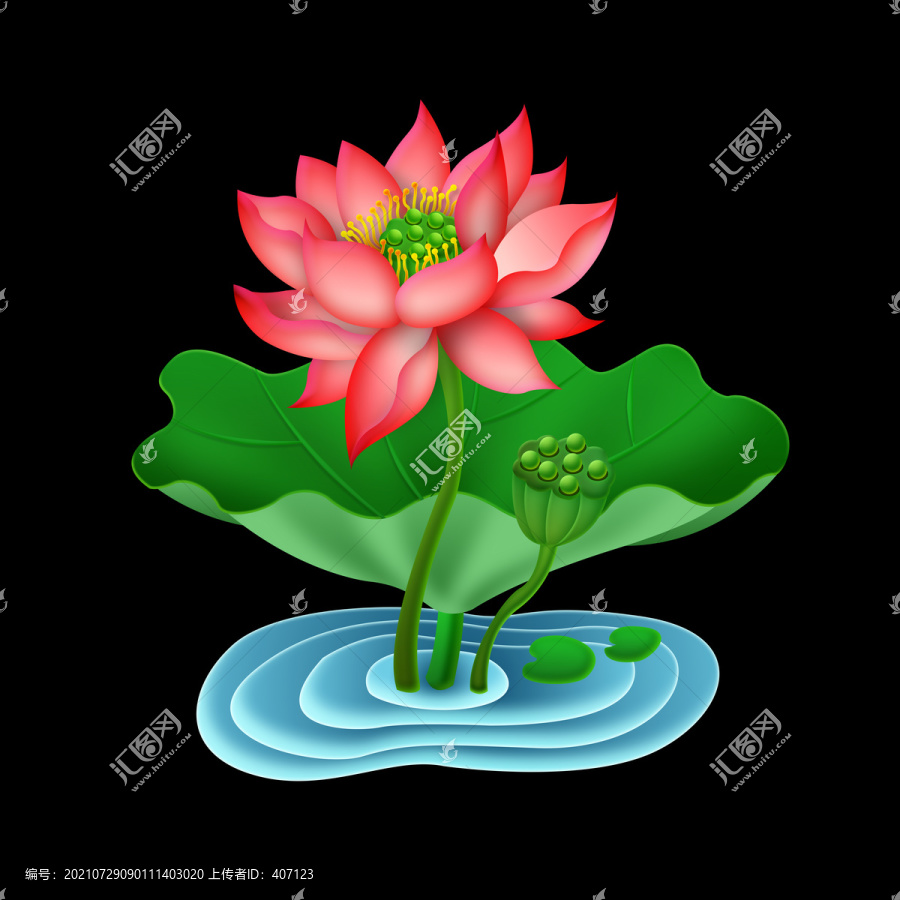 荷花