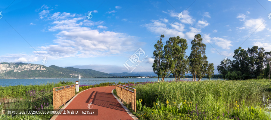 星海半岛湿地