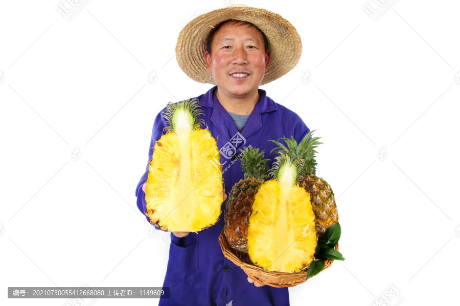 农民手里拿着香水菠萝