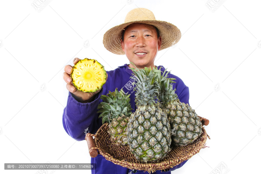 农民手里拿着菠萝