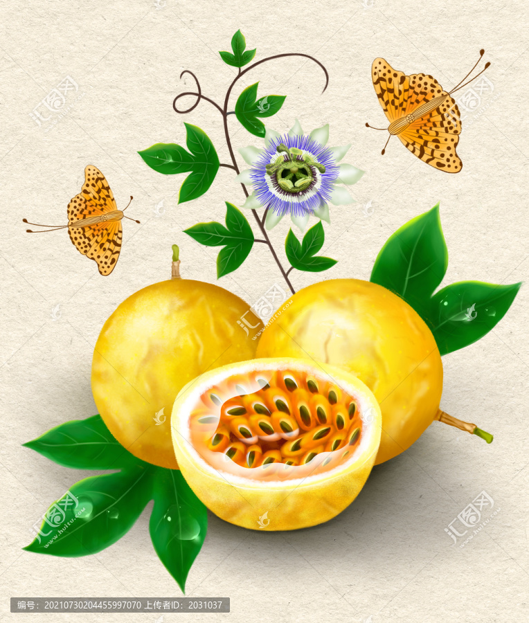 黃金百香果水果繪畫插畫