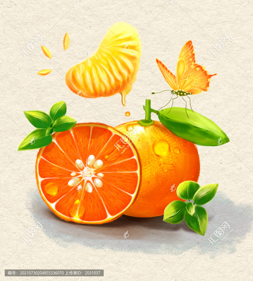 沃柑水果插畫繪畫柑橘橙子