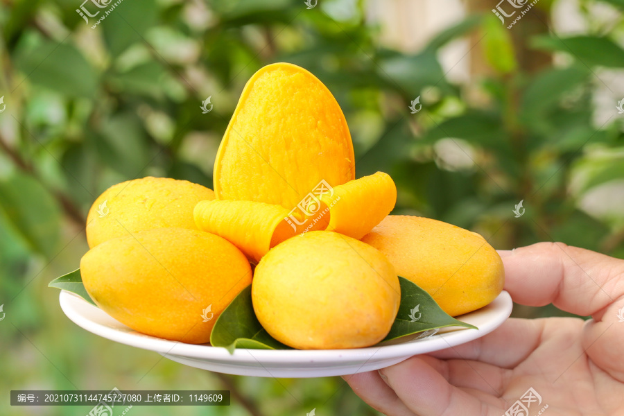 盘子里的小台农芒果