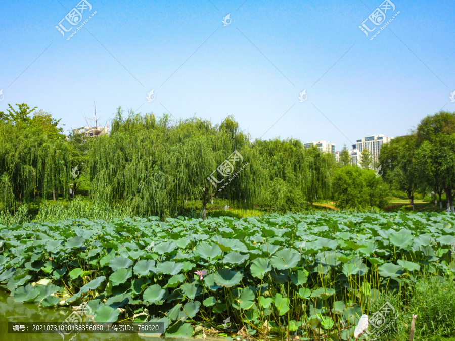 湖景房