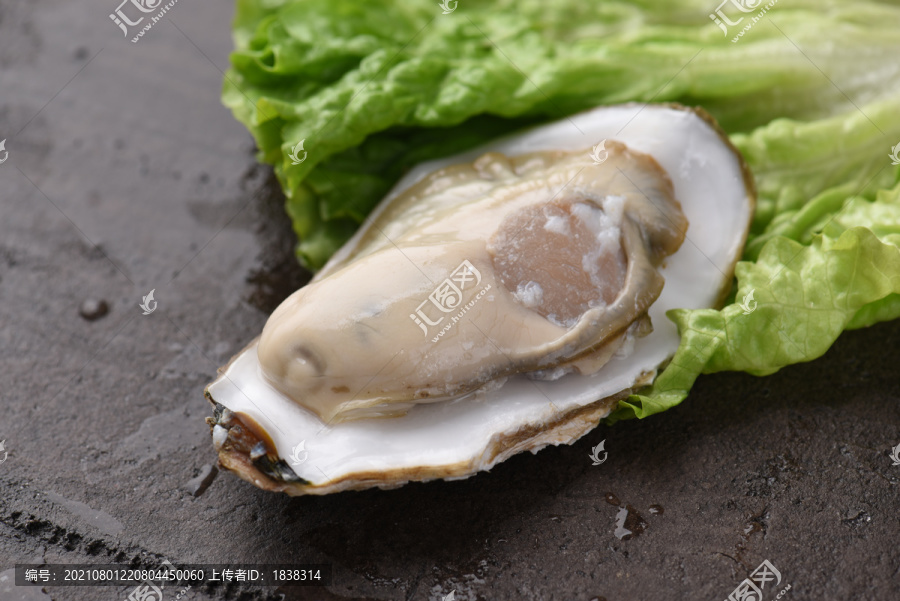 胶东牡蛎