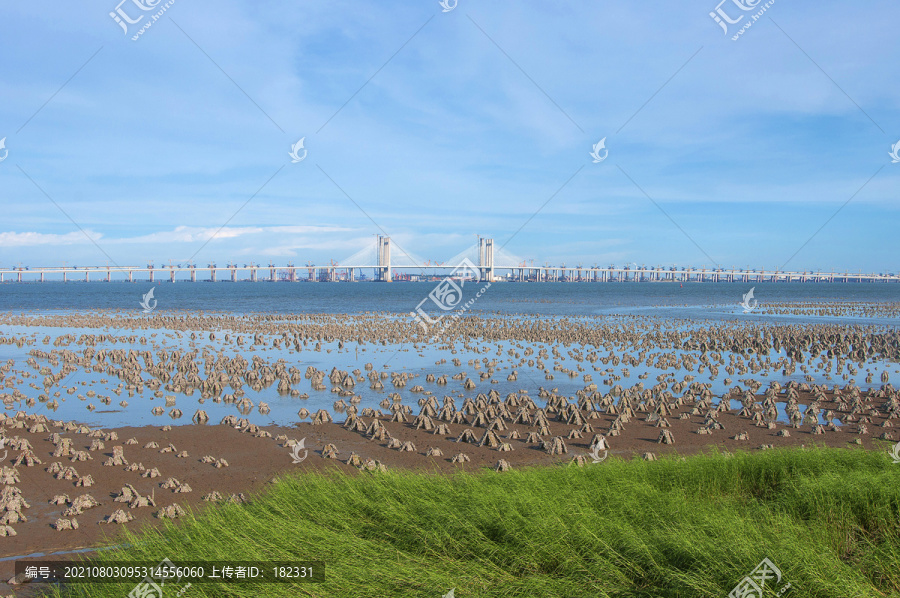 海湾湿地风景