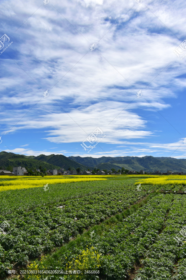 乡村风光