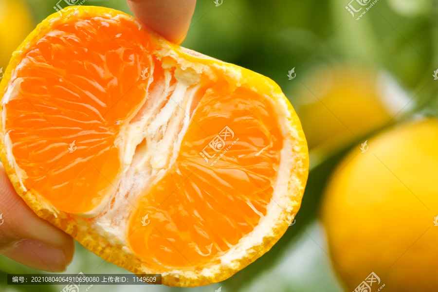 手里拿着新鲜橘子