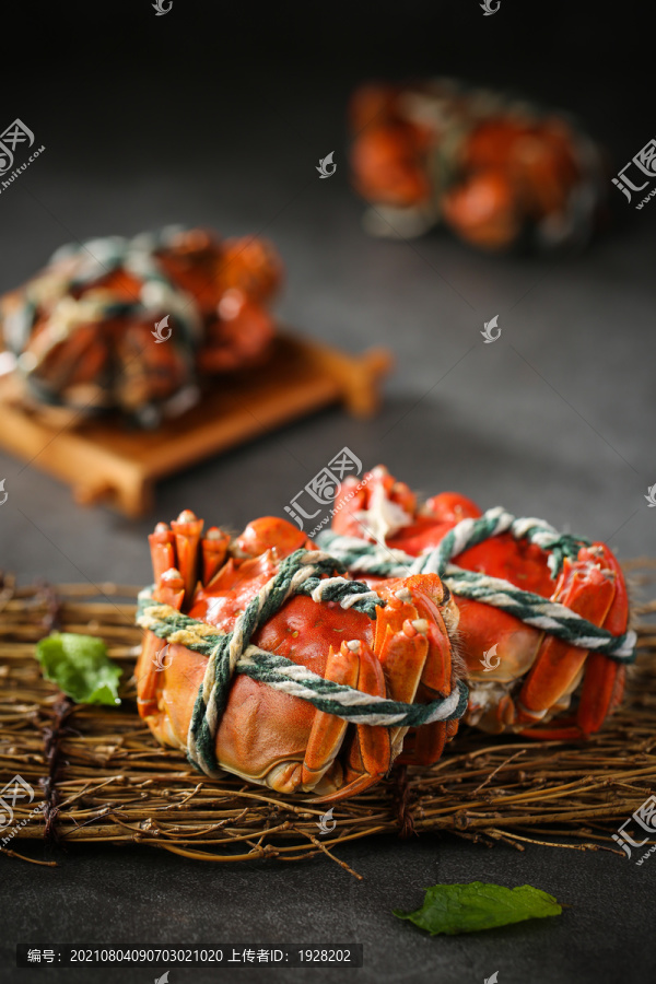 螃蟹河蟹