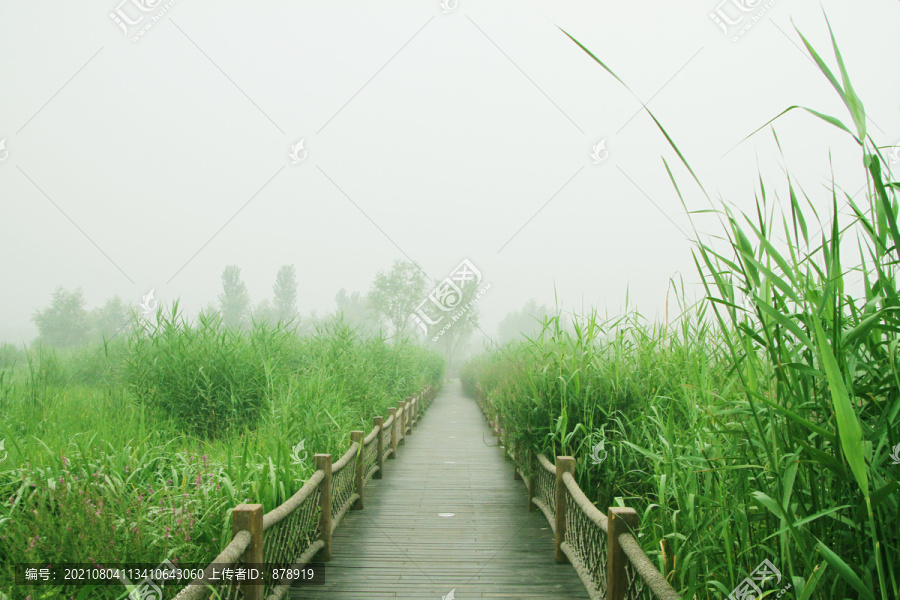 生态步道