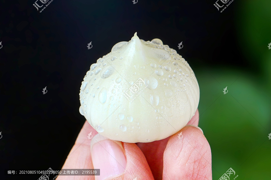 紫皮獨蒜