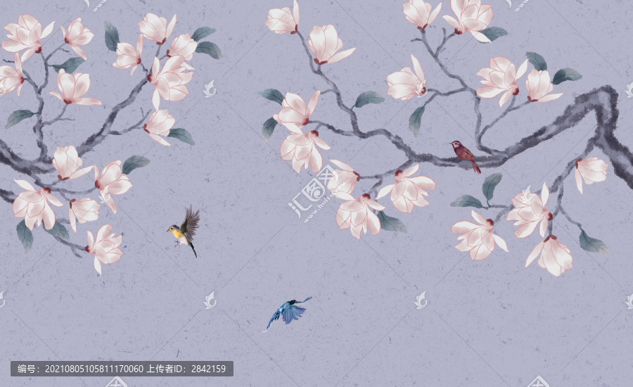 中式玉兰花鸟画