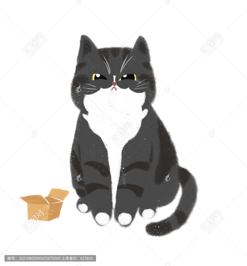 可愛小貓胖貓