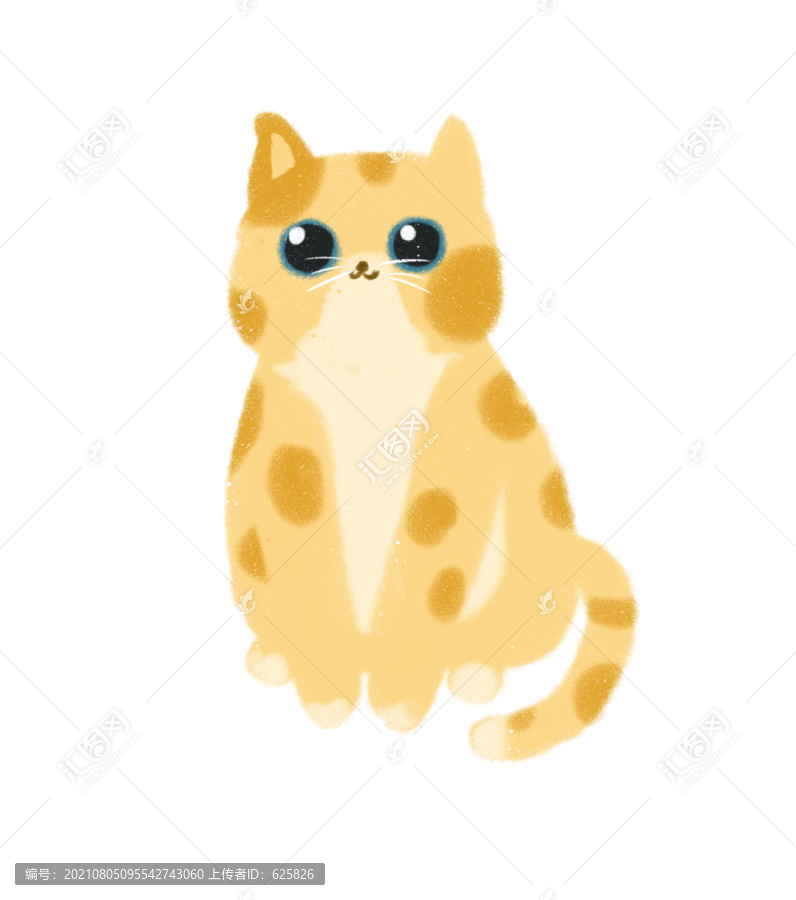 可愛小貓花貓