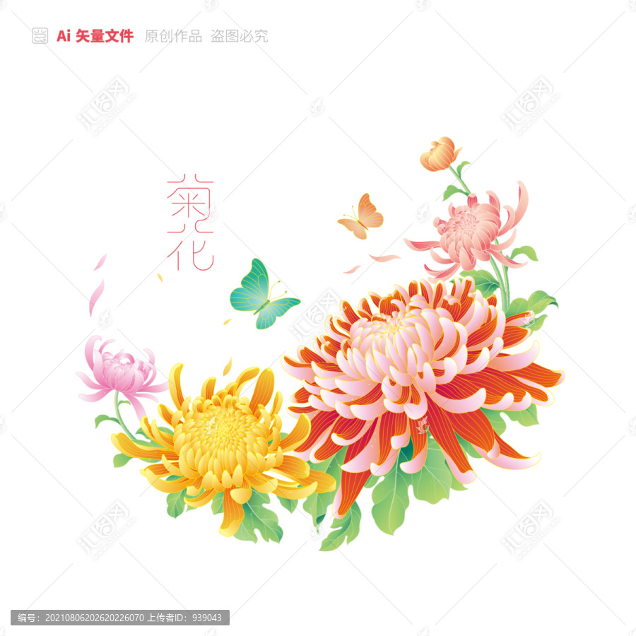 菊花矢量插畫