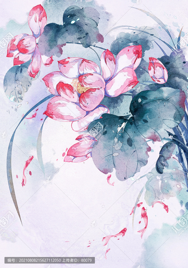 荷花