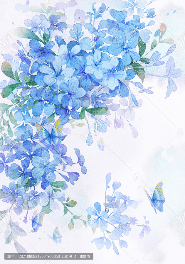 藍雪花